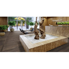 Ламинат Krono Swiss (Kronopol) Venus Platinium D 3748 Artemis Oak (Дуб Артемида)  